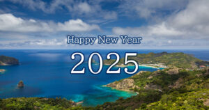 Happy New Year 2025