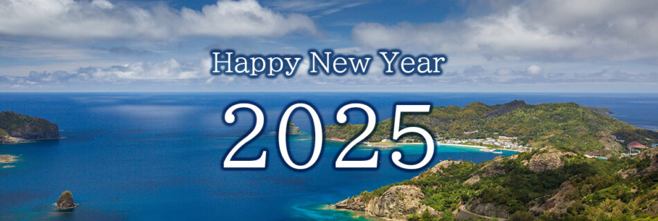 Happy New Year 2025