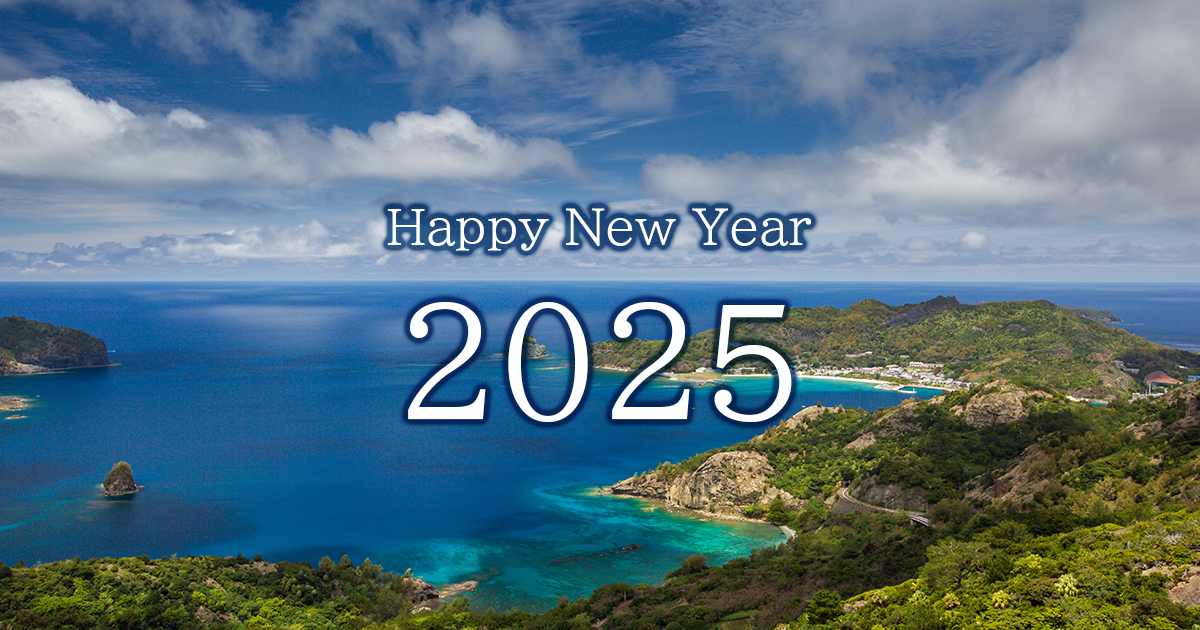 Happy New Year 2025